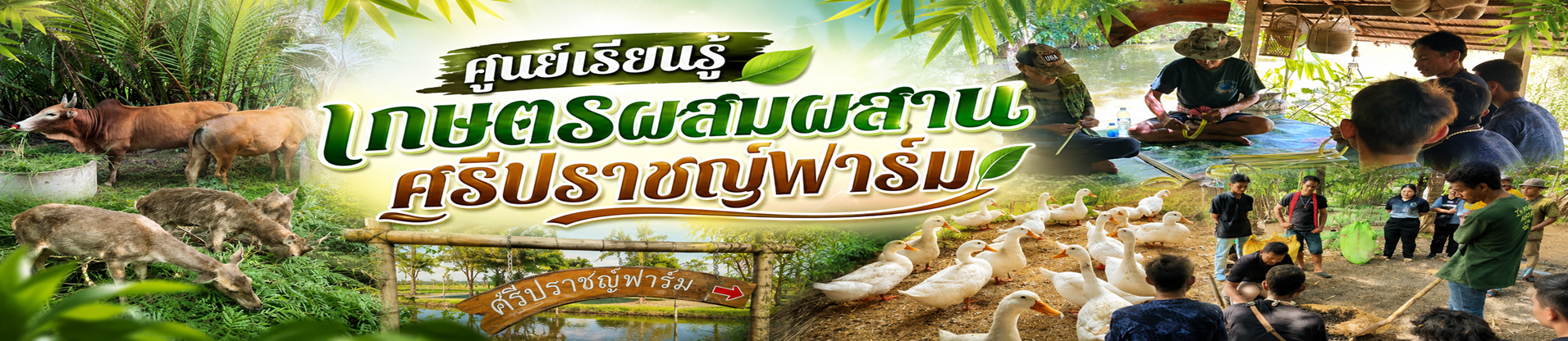 ศูนย์เรียนรู้เกษตรผสมผสานศรีปราชญ์ฟาร์ม