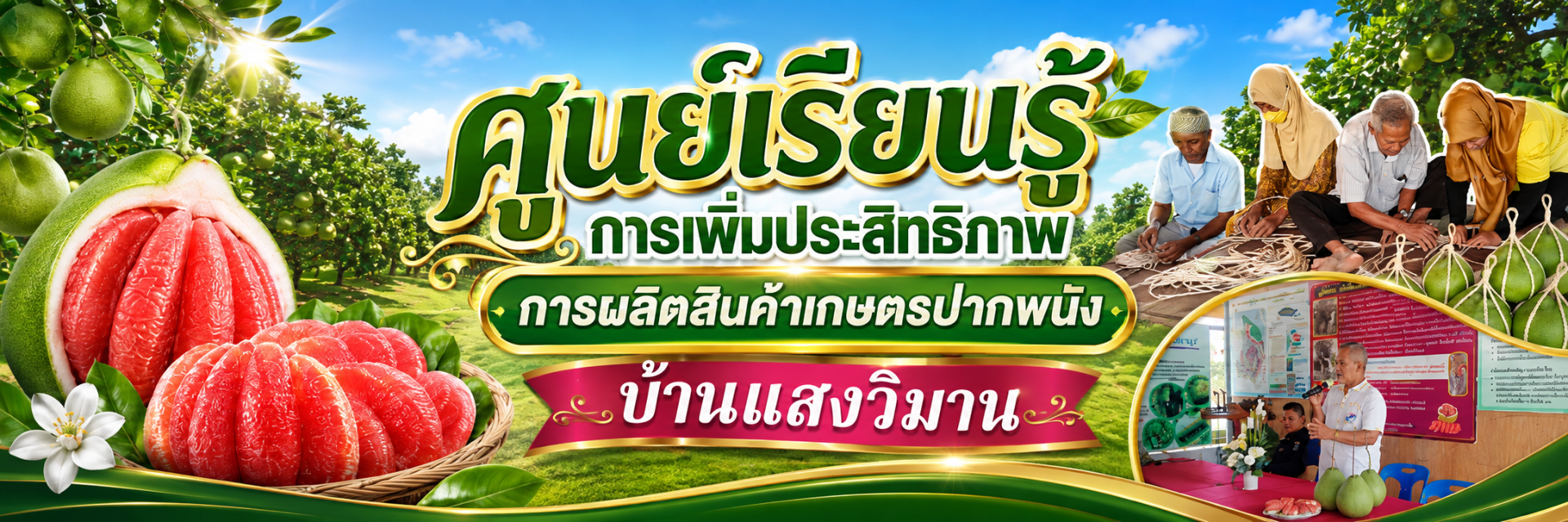 ศูนย์เรียนรู้​การ​เพิ่ม​ประสิทธิภาพ​การผลิต​สินค้า​เกษตร​ปากพนัง บ้านแสงวิมาน