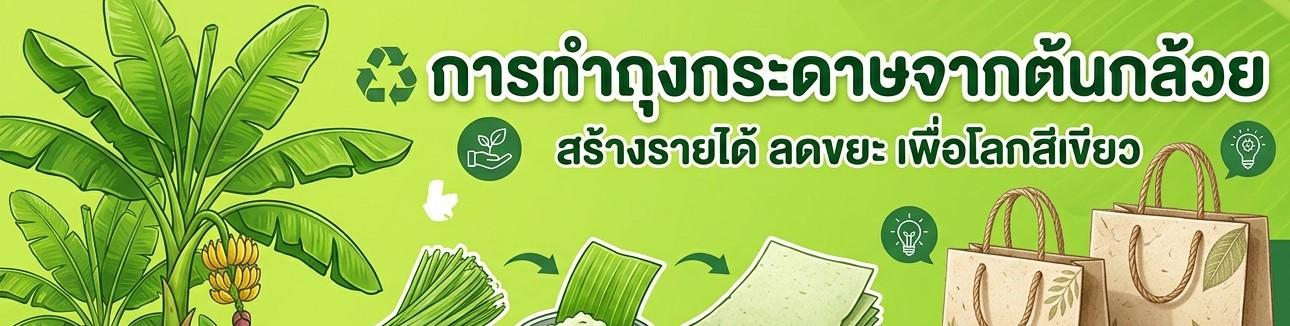 การทำถุงกระดาษจากต้นกล้วย