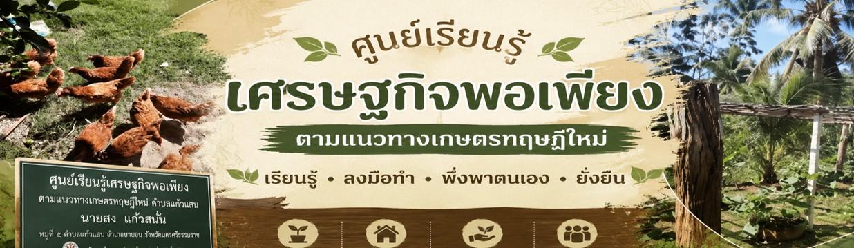 ศูนย์เรียนรู้เศรษฐกิจพอเพียงและเกษตรทฤษฎีใหม่ นายสง แก้วสนั่น