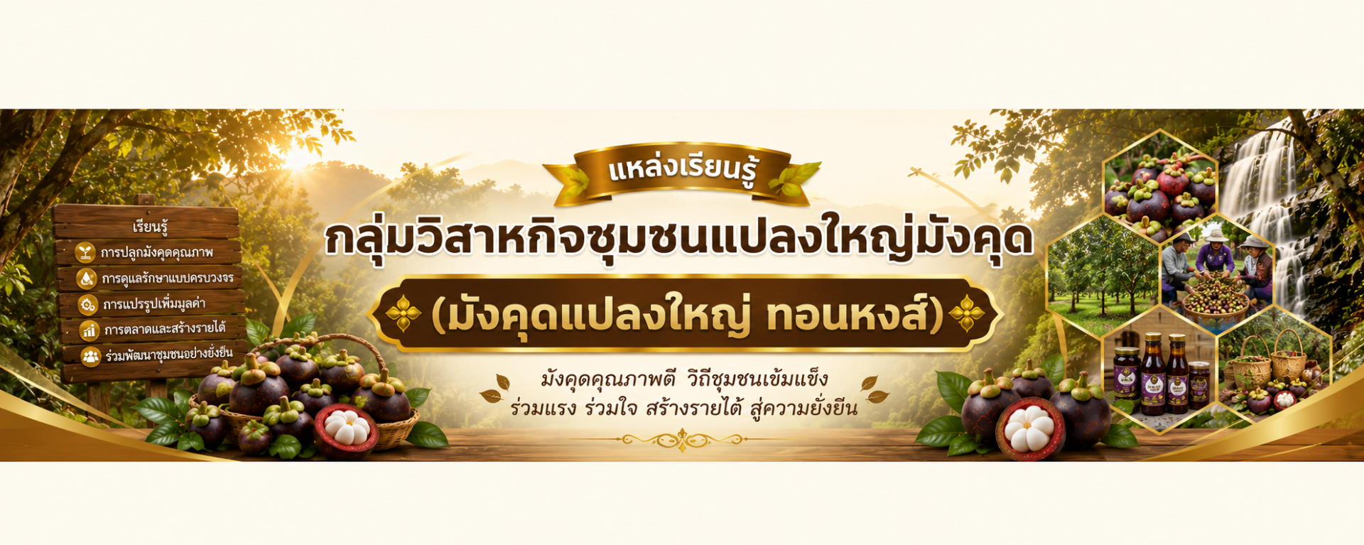 วิสาหกิจชุมชนแปลงใหญ่มังคุด (มังคุดแปลงใหญ่ ทอนหงส์)