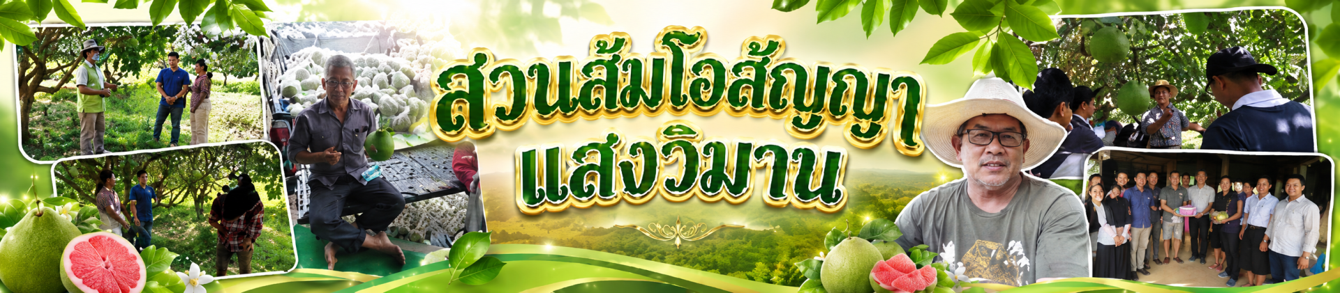 สวนส้มโอสัญญา แสงวิมาน