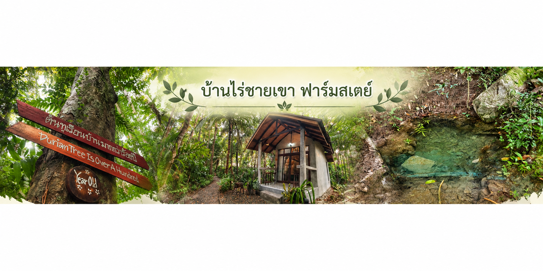 บ้านไร่ชายเขา ฟาร์มสเตย์