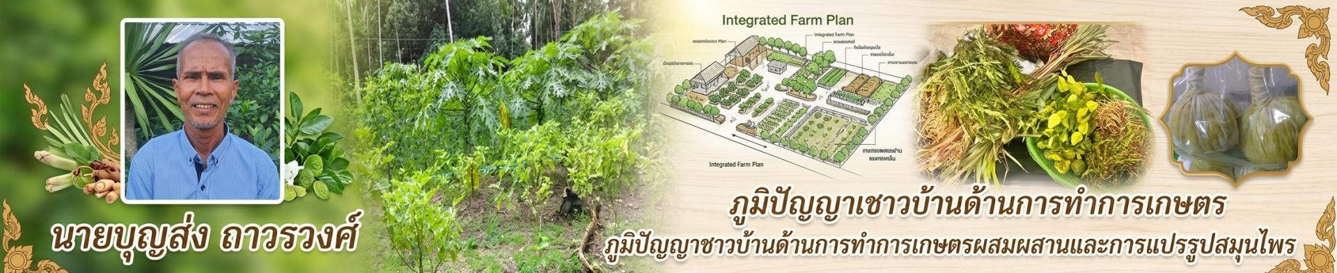 การทำเกษตรผสมผสานและการแปรรูปสมุนไพร