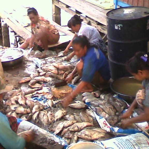 กะปิปลาบ้านท้องลาน