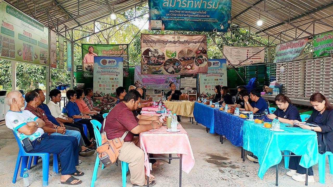 วิสาหกิจชุมชนแปลงใหญ่มังคุด (มังคุดแปลงใหญ่ ทอนหงส์)