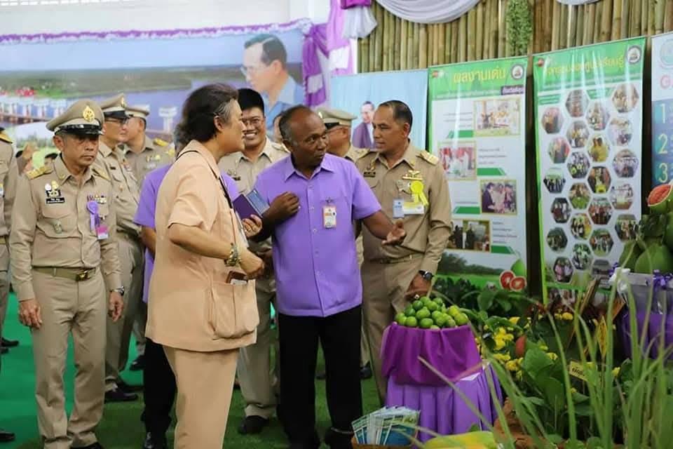 ศูนย์เรียนรู้ผักเเละมะนาวไข่พันธุ์พื้นเมืองปลอดภัยจากสารพิษในโครงการพัฒนาพื้นที่ลุ่มน้ำปากพนังอันเนื่องมาจากพระราชดำริ