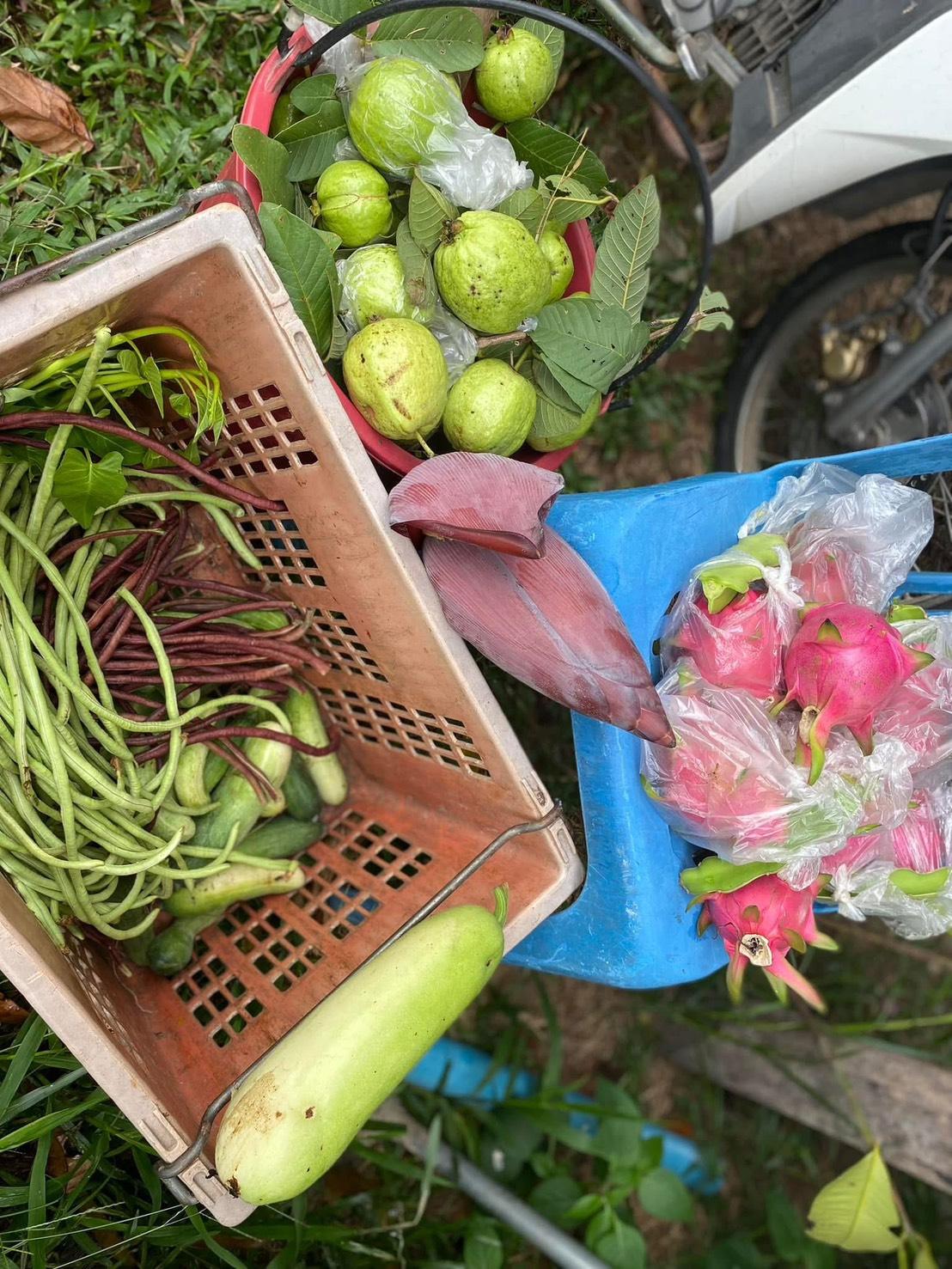 สวนสมรมโคกหนองนา ตาเล็ก