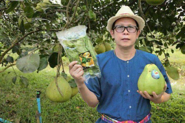 วิสาหกิจชุมชนเทศบาลตำบลเกาะทวด