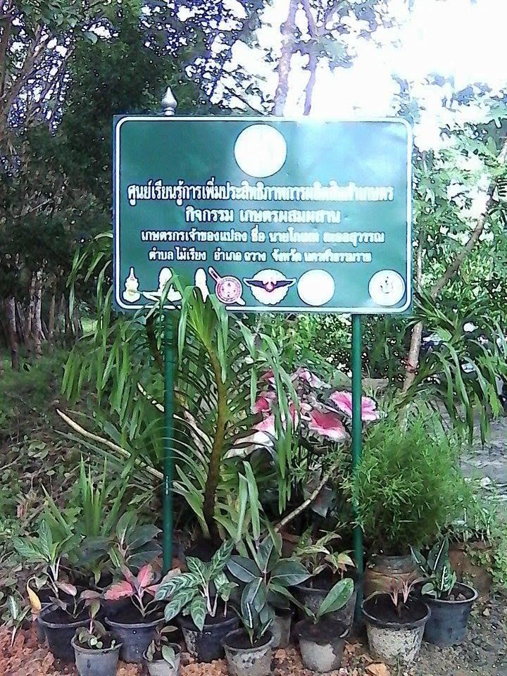 แหล่งเรียนรู้ตามหลักปรัชญาเศรษฐกิจพอเพียง บ้านท้ายทุ่ง (บ้านคุณโกเมท ละออสุวรรณ)