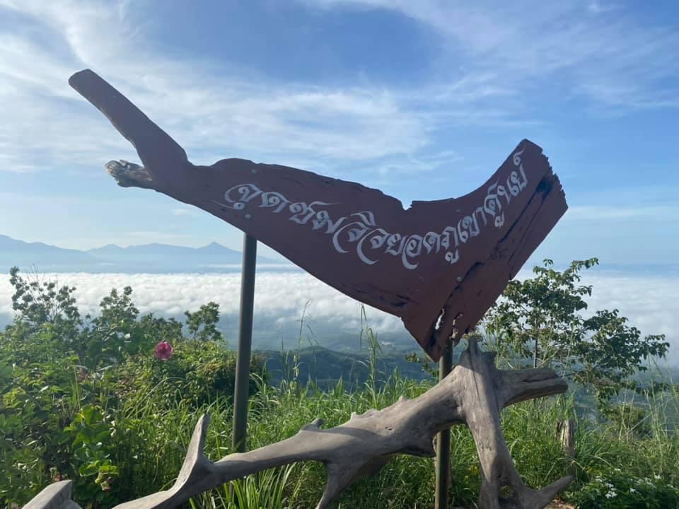 เขาศูนย์