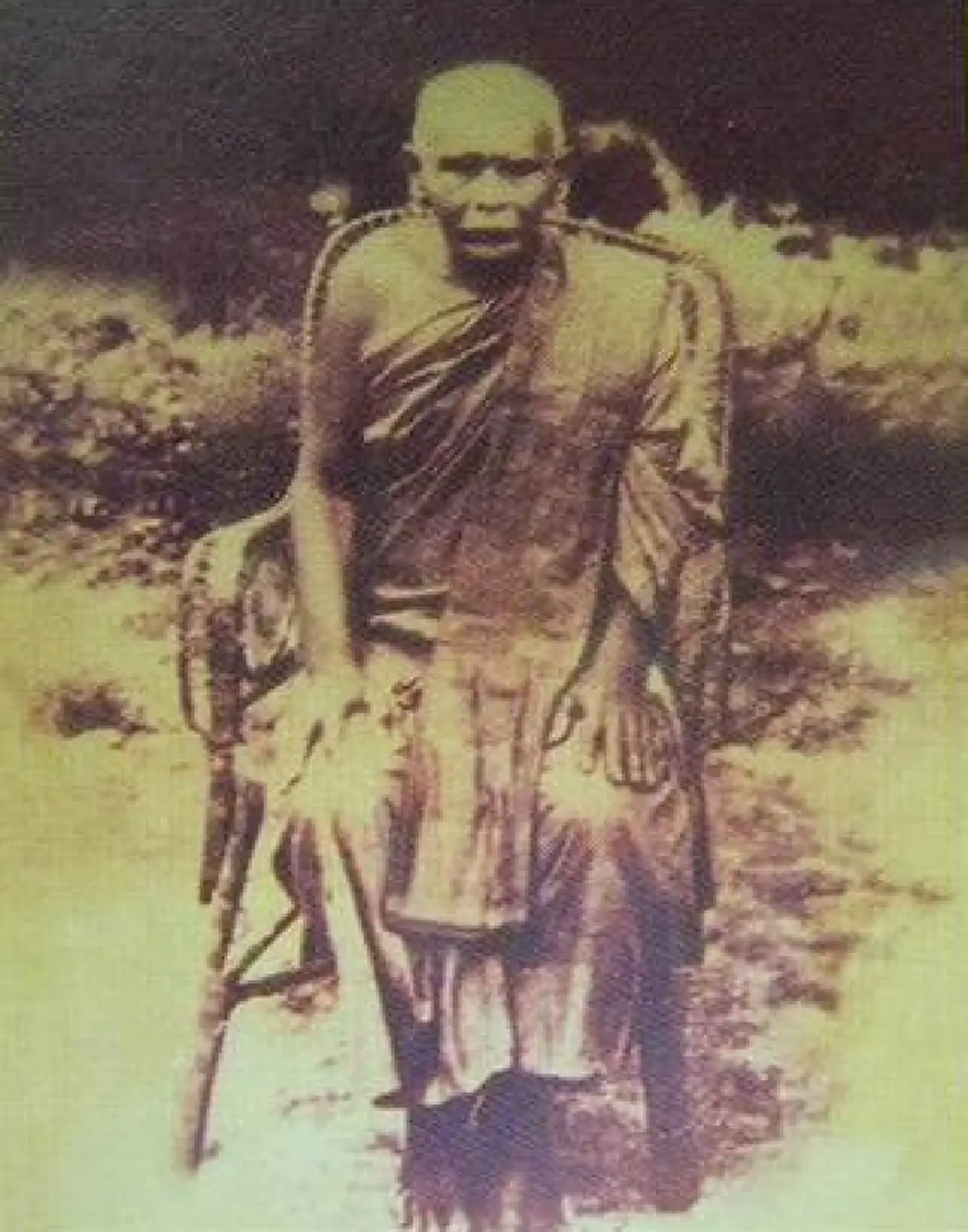 วัดเทพนิมิตร (วัดวัวหลุง)