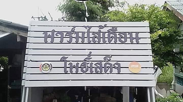 กลุ่มการเลี้ยงไส้เดือนดิน (นายมานพ สมพงษ์)