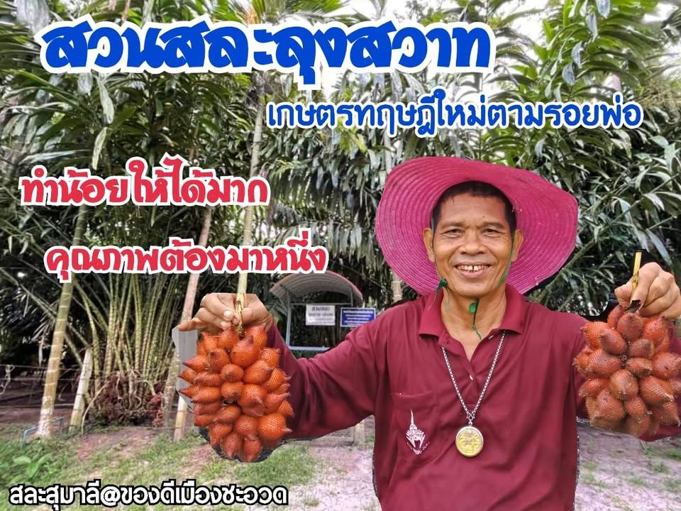 สวนสละลุงสวาท