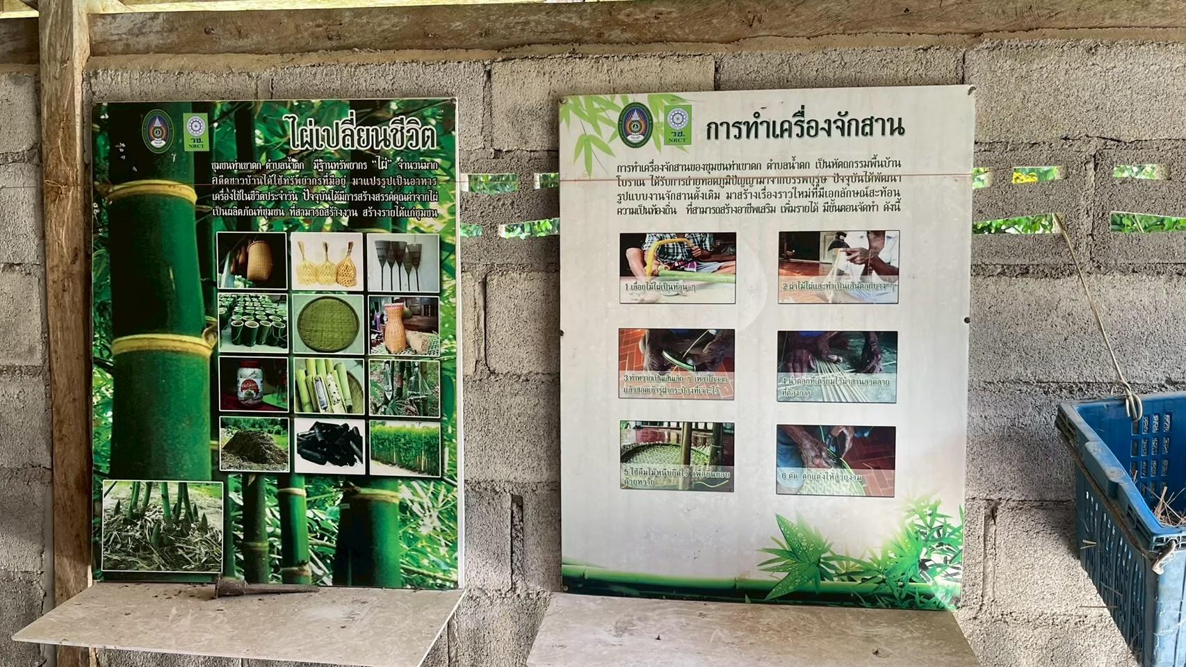 ข้อมูลไผ่สร้างชีวิตกับการทำธนู